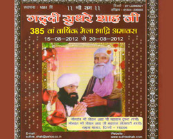 Shri Mahant Shri Vivek Shah Ji Maharaj